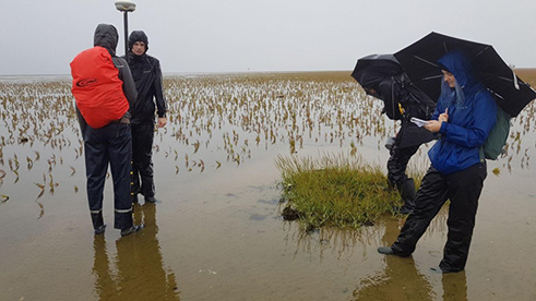 Monsters nemen in de regenSampling in the rainProbenahme im Regen