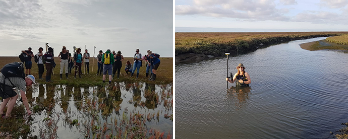 Cursus Ecological Research Skills: de kwelder en de slenken bemonsterenCourse Ecological Research Skills: sampling the salt marsh and ditchesKurs Ecological Research Skills: Beprobung der Salzwiesen und Gräben