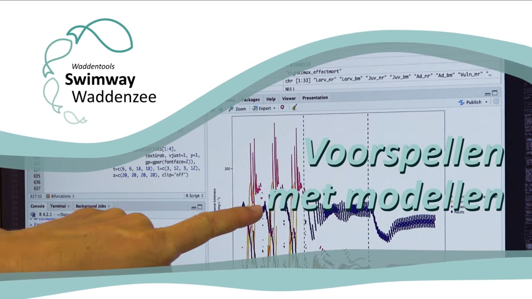 SWIMWAY WADDENZEE | Voorspellen met modellen