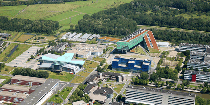 Zernike Ecology Project