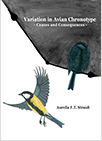 thesis cover