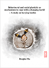 thesis cover