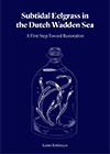 thesis cover