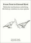 thesis cover