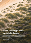 thesis cover