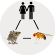 Sociality