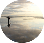 Wadden Sea mudflats