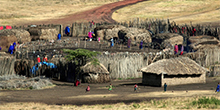 Serengeti - Sustainable landscape research