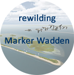 Marker Wadden impression