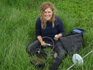 Grazing experiments on Dutch salt marshes