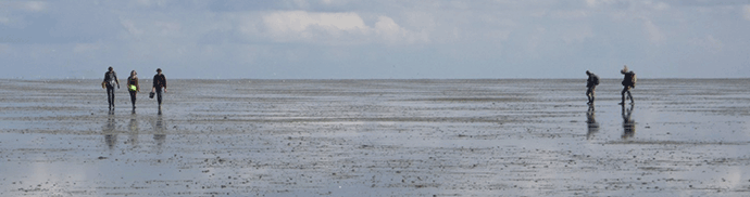 Intertidal flats, Schiermonnikoog