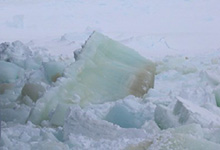 Sea ice
