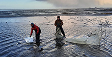 Wadden Sea