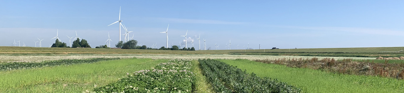 Double Dyke area near Bierum Groningen