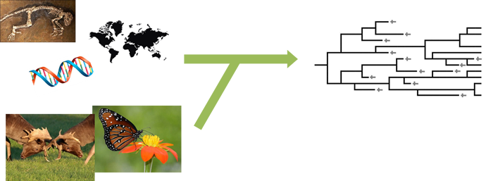 Inserting feedback with ecological interactions