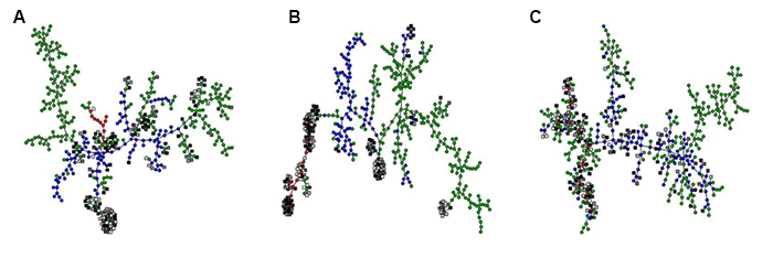 Figure 1 – Molecular, phenotypic and evolutionary similarity between solutions to a complex optimization task.