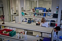 Genetics research lab in ERIBA