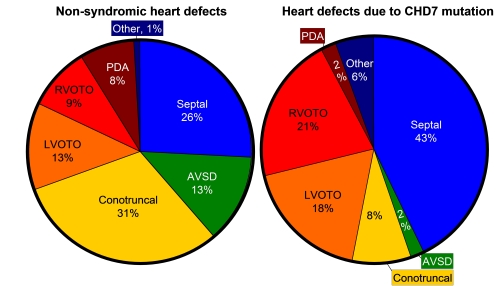 Types of congenital heart defects in patients with a CHD7 mutation compared to non-syndromic heart defects.