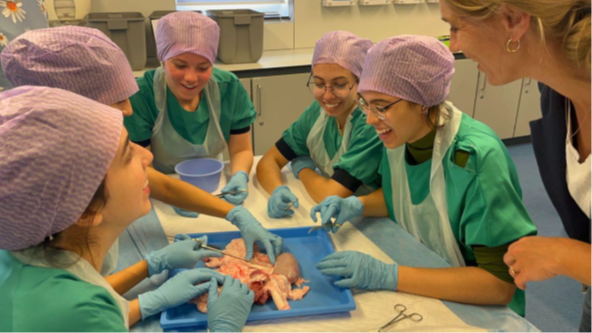 Summerschool in action