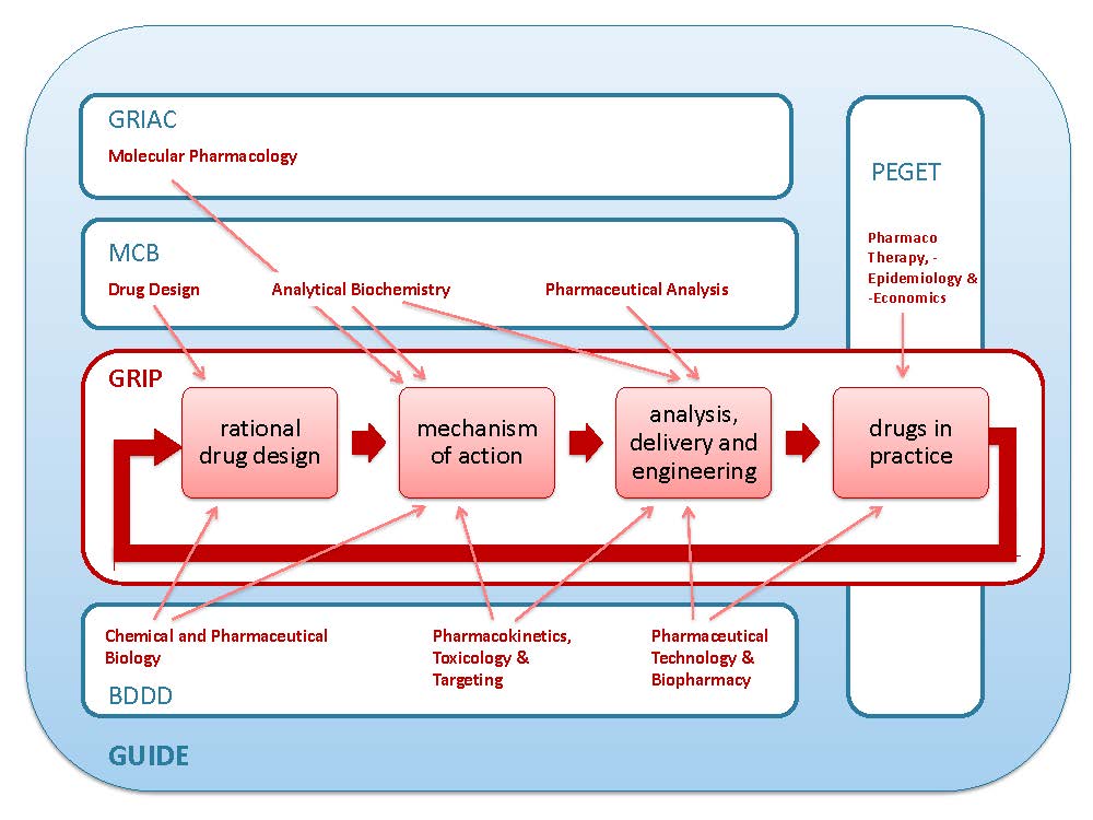 The coherence of GRIP, research units and collaboration in research programs. GRIP research groups are organized around distinct parts of the drug research and development process. In this scheme the orientation around the drug development cycle and the participation in UMCG institutes and programs is depicted.