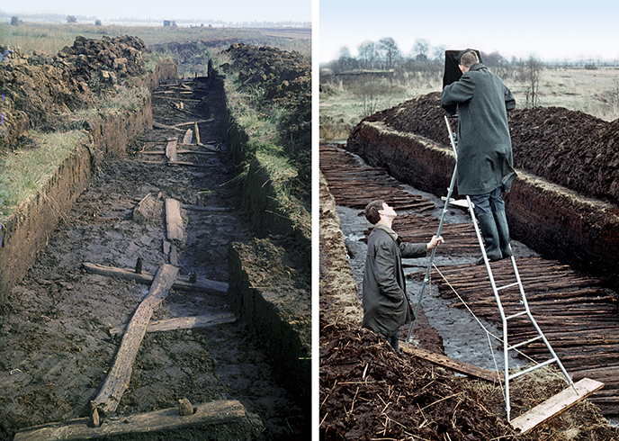 Bog trackways in Drenthe.