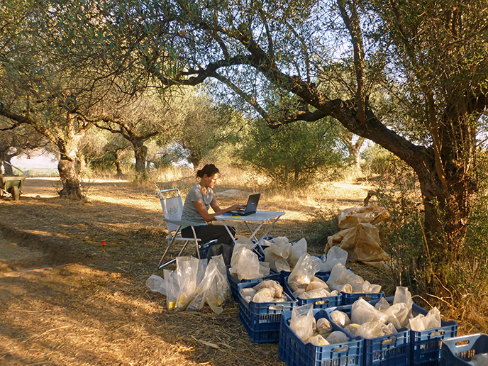 Administration under the Greek sun (38+ °C).