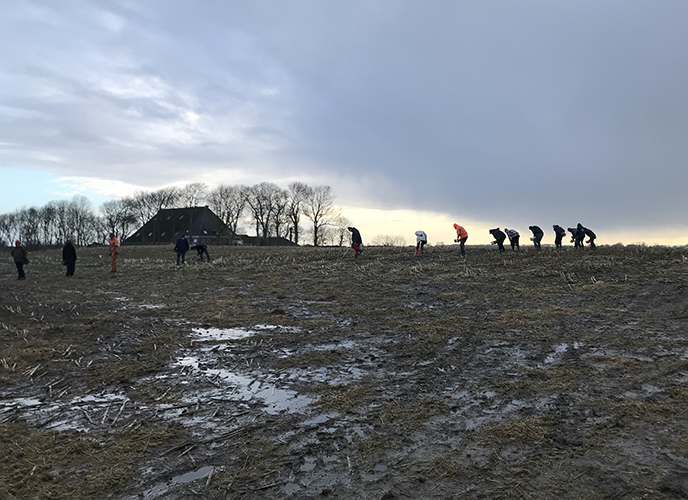 Veldkarteringen in het Fries/Groningse Terpen- en Wierdengebied.