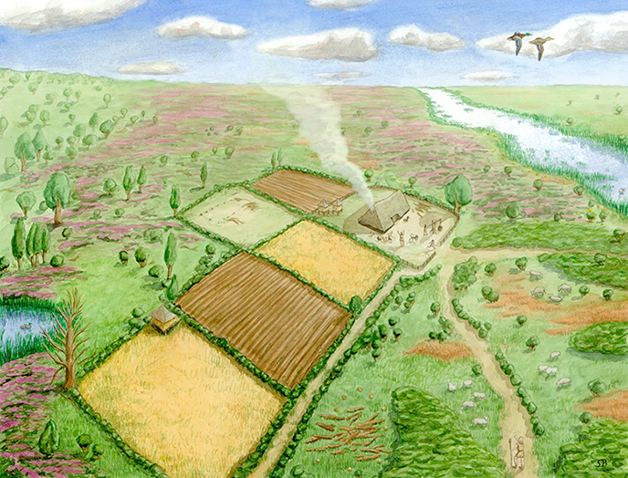 Reconstruction drawing of Midlaren around 200 AD.