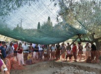 Guiding tour at Ayios Vasilios