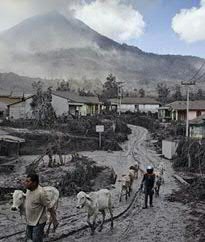 Eruption Mount Sinabong