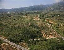 Aerial View Ayios Vasilios