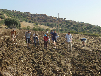 Surveying a freshly ploughed field.