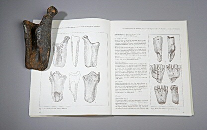 ©Rijksmuseum van Oudheden