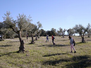 Students during field survey