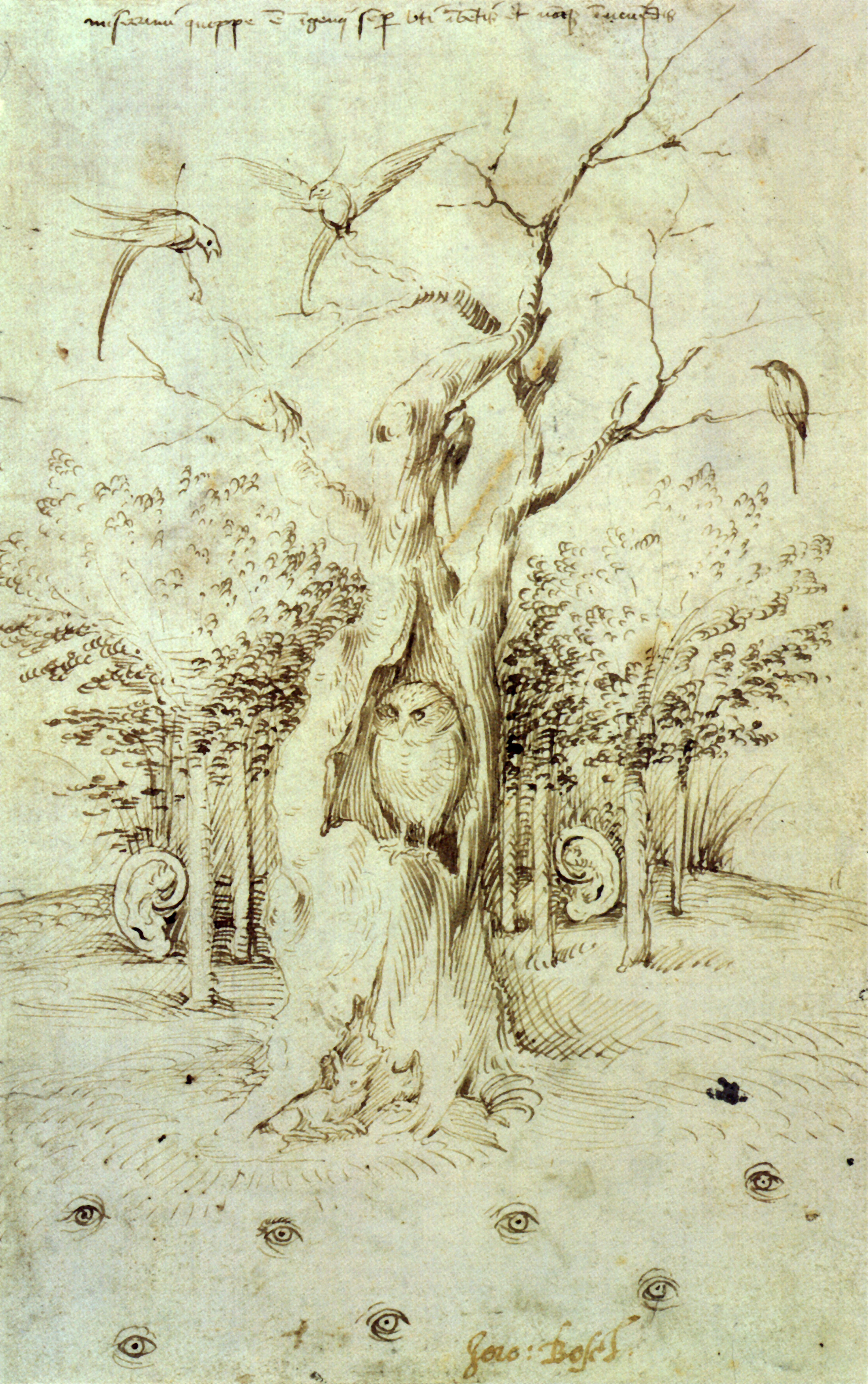 A pen drawing of an owl in a tree stump. There are also birds on the tree's branches, and there are eyes in the field in front of it and ears in the trees behind.