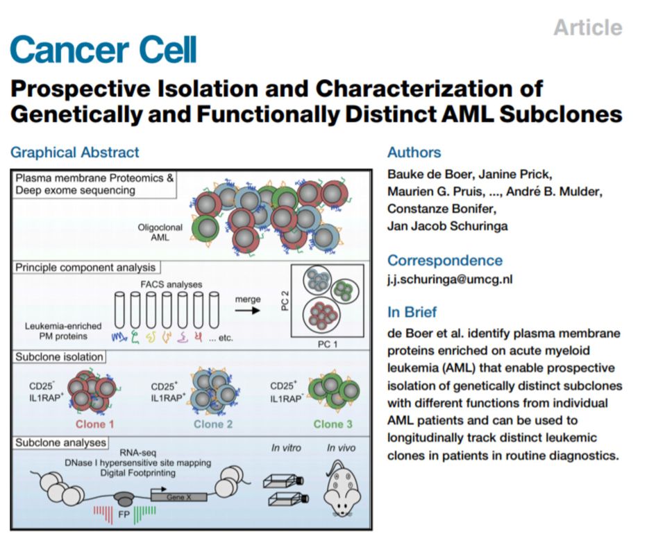 CancerCell de boer 2018