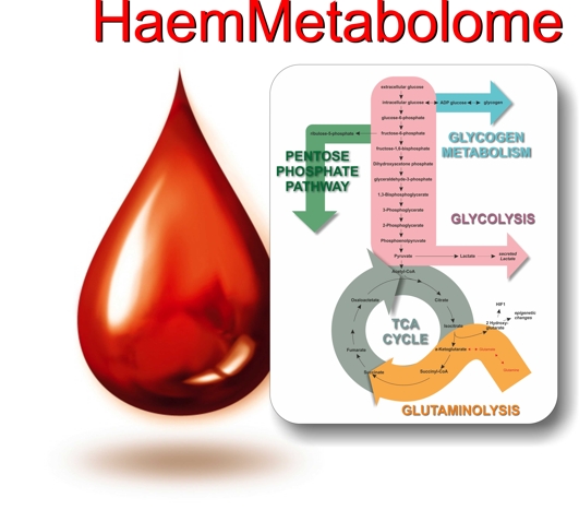 HaemMetabolome