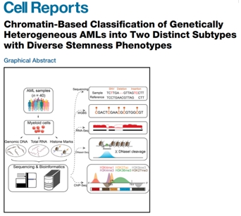 Martens Cell Reports 2019