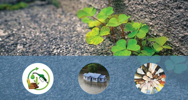 Resilience and adaptation of social-ecological systems