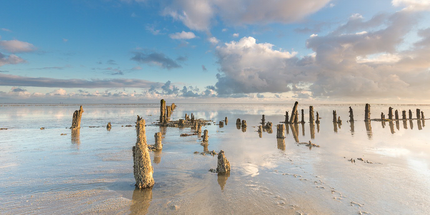 Imagining the Anthropocene with the Wadden Sea