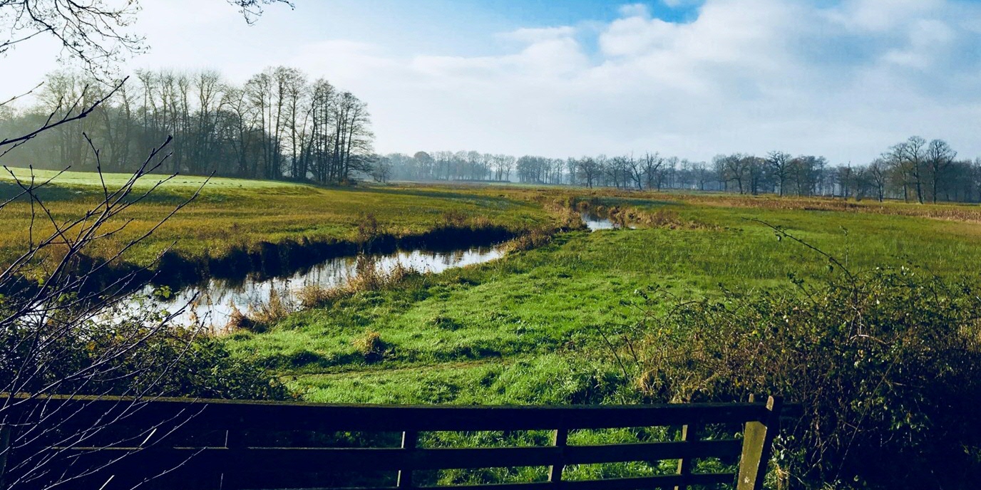 Vegetation change and evaluated biodiversity value at landscape-level in the Drentsche Aa brook valley