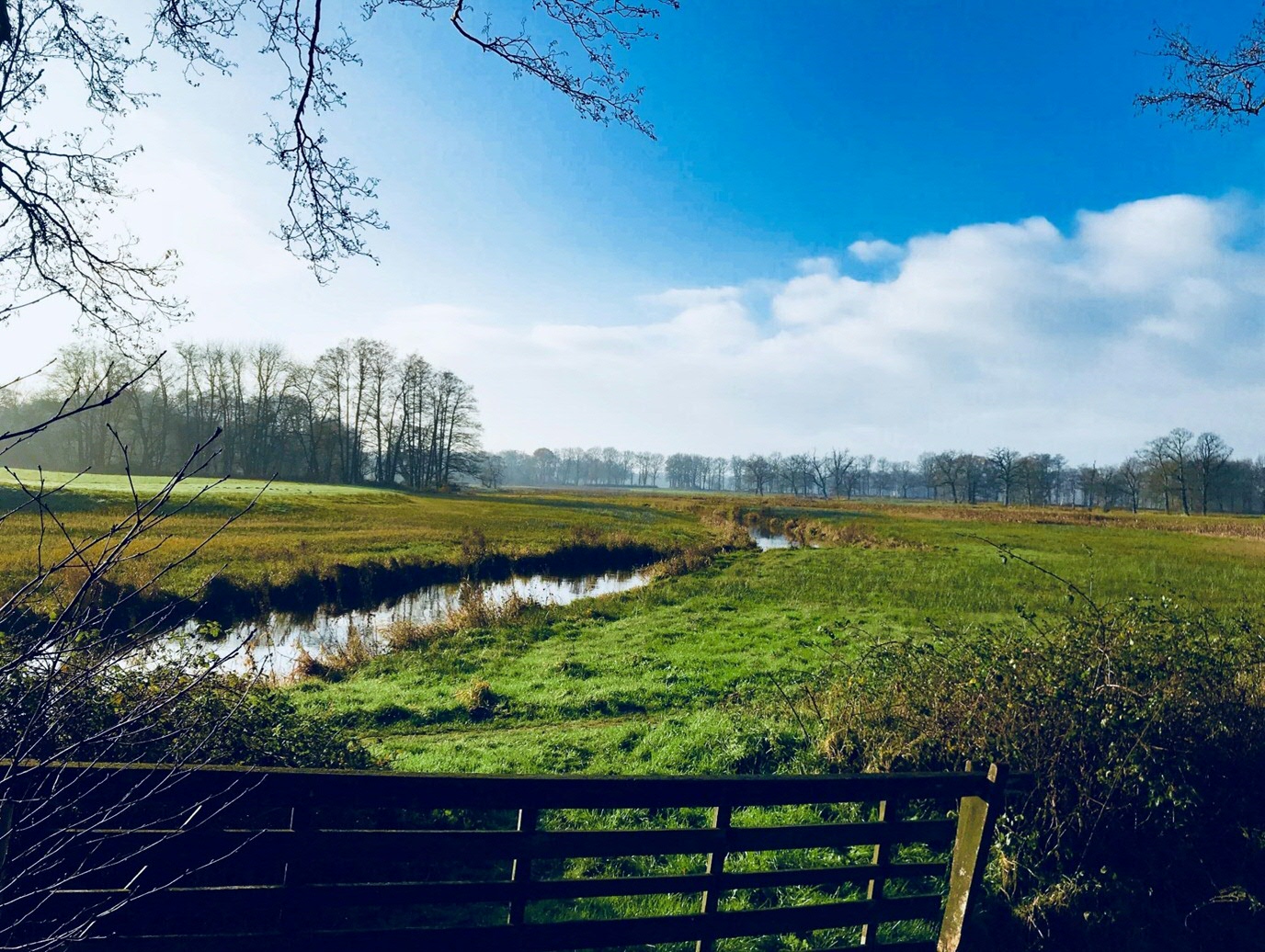 Oudemolen, National Park Drentsche Aa | credits: Weier Liu.