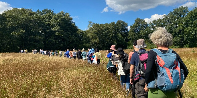 Excursion to the historic landscape of the Drentse Aa