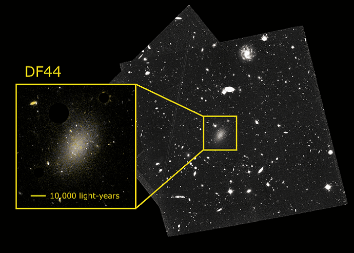 Beeld van de Hubble Ruimtelescoop van het ultradiffuse sterrenstelsel Dragonfly44 (DF44). Credit: T. Saifollahi and NASA/HST.