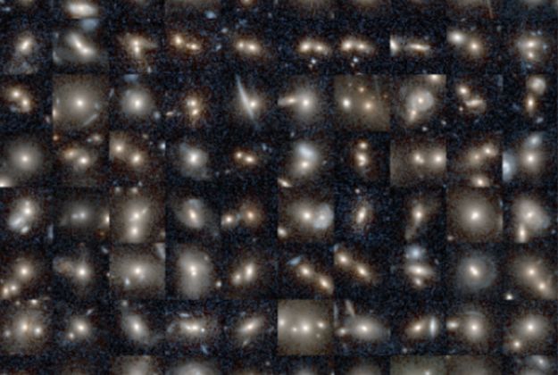 decoratieve afbeelding