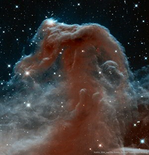 The horsehead nebula is a dark cloud of dust and gas. When clouds like this get dense enough they will start forming stars. Image Credit: NASA, ESA, and The Hubble Heritage Team