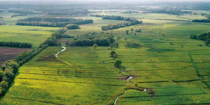 Bird view over the Drentsche Aa.