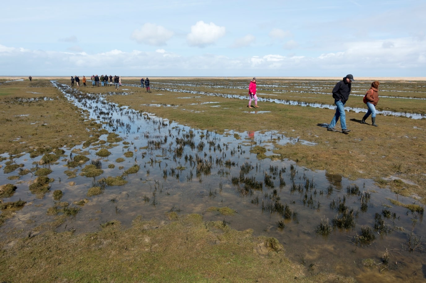 Course: cultural Landscapes of the Northern Netherlands