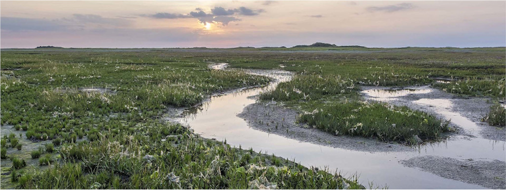 Foto: Schiermonnikoog, Klaas Huizinga