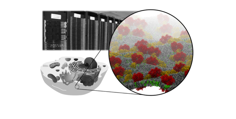 Computational microscopy in the Journal of Cell Science